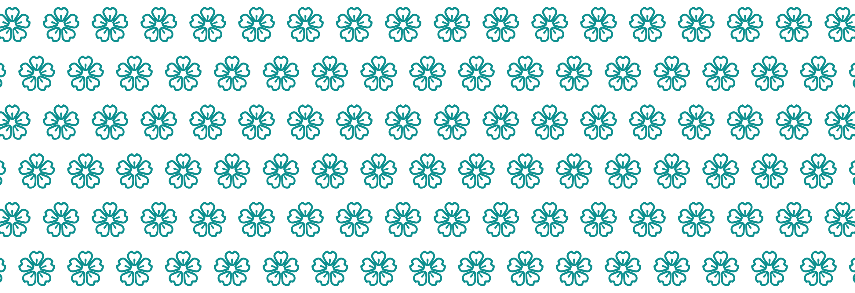 TRƯỜNG CAO ĐẲNG HÀ NỘI