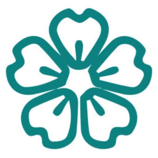 TRƯỜNG CAO ĐẲNG HÀ NỘI