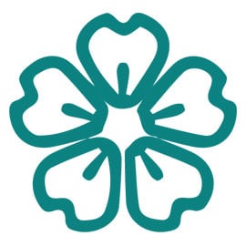 TRƯỜNG CAO ĐẲNG HÀ NỘI