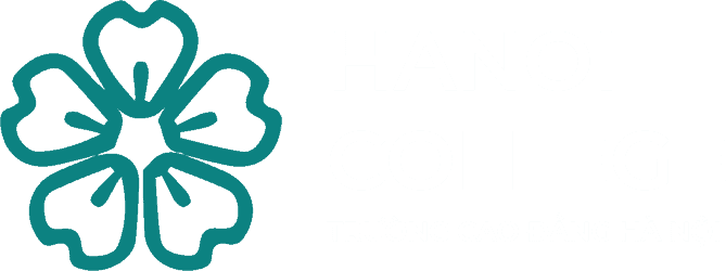 TRƯỜNG CAO ĐẲNG HÀ NỘI