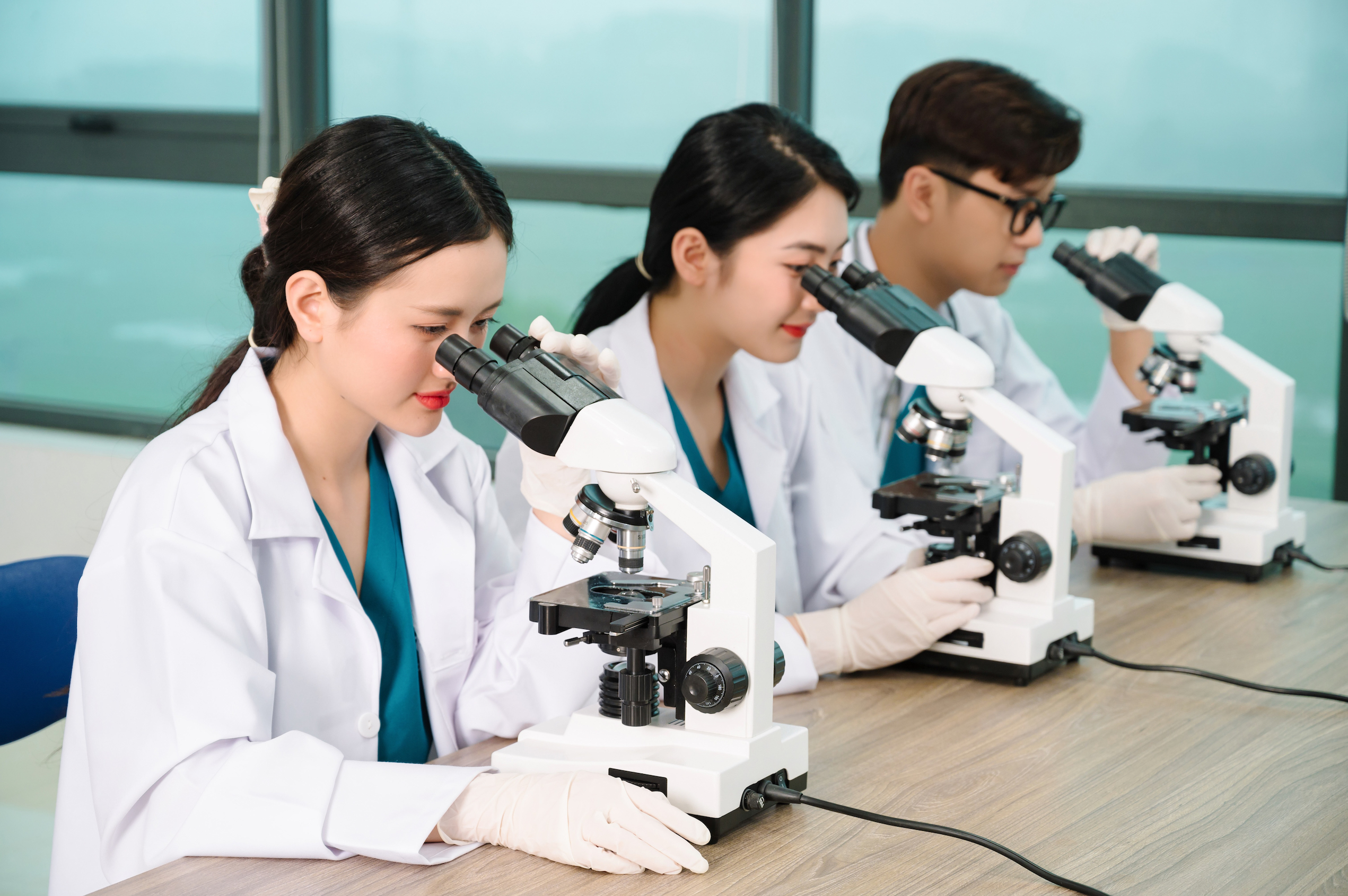 TRƯỜNG CAO ĐẲNG HÀ NỘI