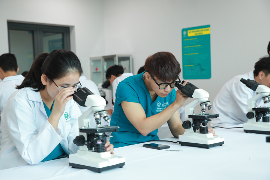 TRƯỜNG CAO ĐẲNG HÀ NỘI