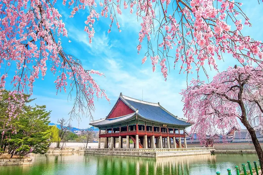 TRƯỜNG CAO ĐẲNG HÀ NỘI