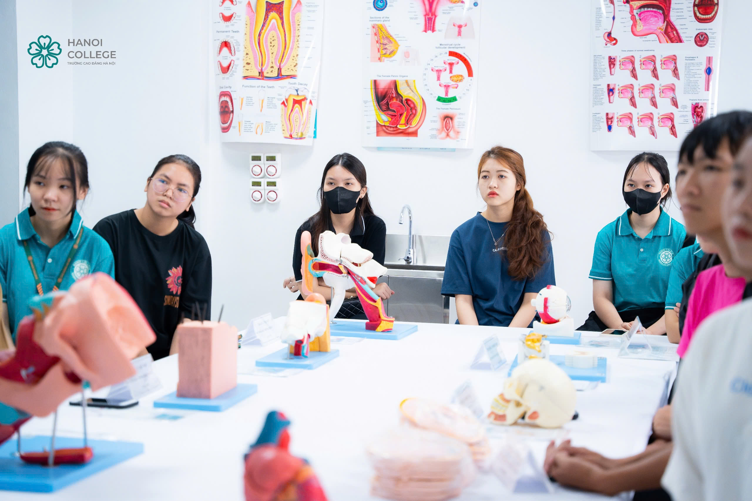 TRƯỜNG CAO ĐẲNG HÀ NỘI