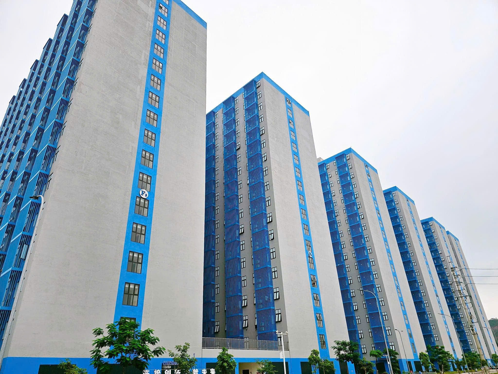 TRƯỜNG CAO ĐẲNG HÀ NỘI